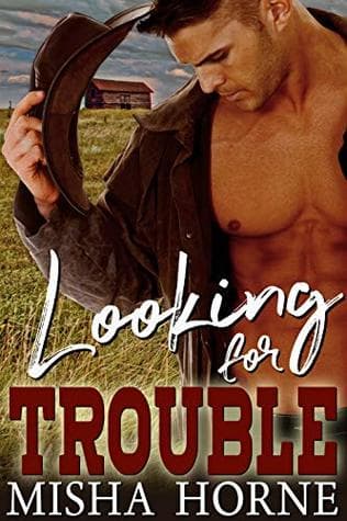 Looking for Trouble (ebook)