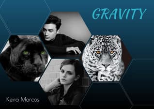 Gravity