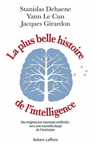 La Plus Belle Histoire de l'intelligence: Des origines aux neurones artificiels : vers une nouvelle étape de l'évolution