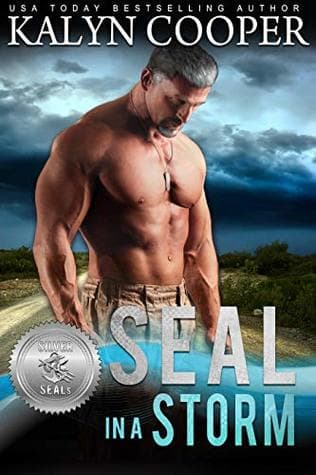 SEAL in a Storm