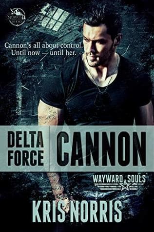Delta Force: Cannon