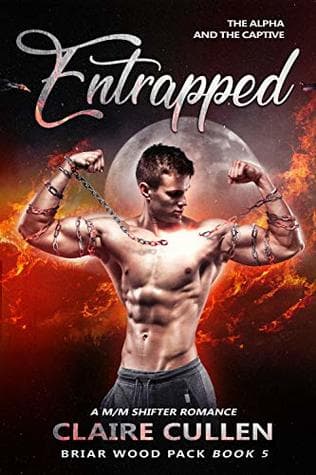 Entrapped: The Alpha and the Captive