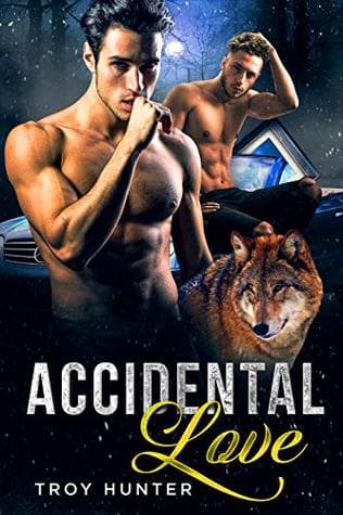 Accidental Love: