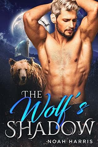 The Wolf's Shadow