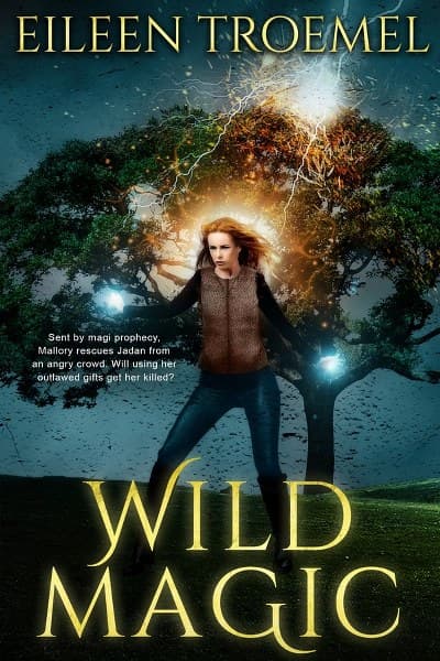 Wild Magic (Wild Magic Series Book 1)