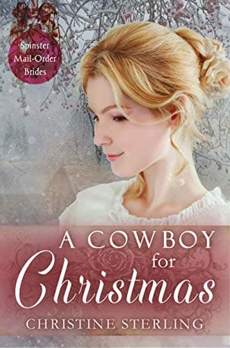 A Cowboy for Christmas