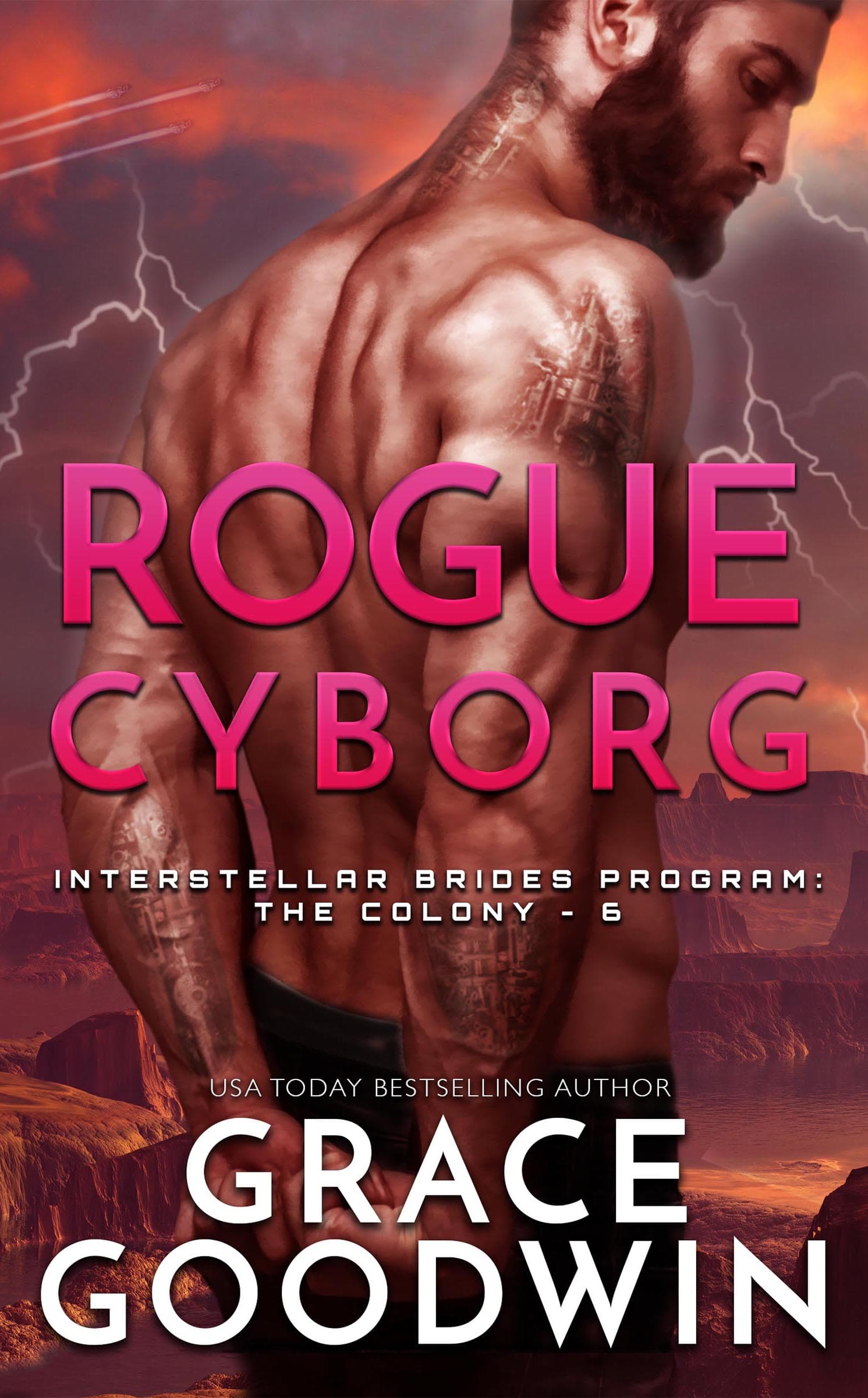Cyborg Rebelle