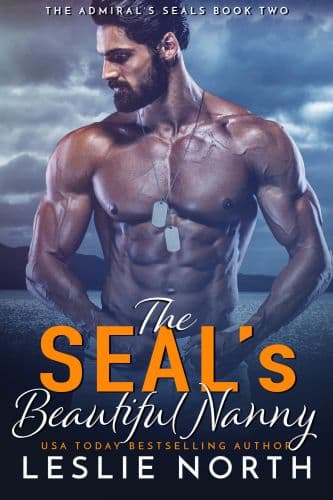The SEAL's Beautiful Nanny