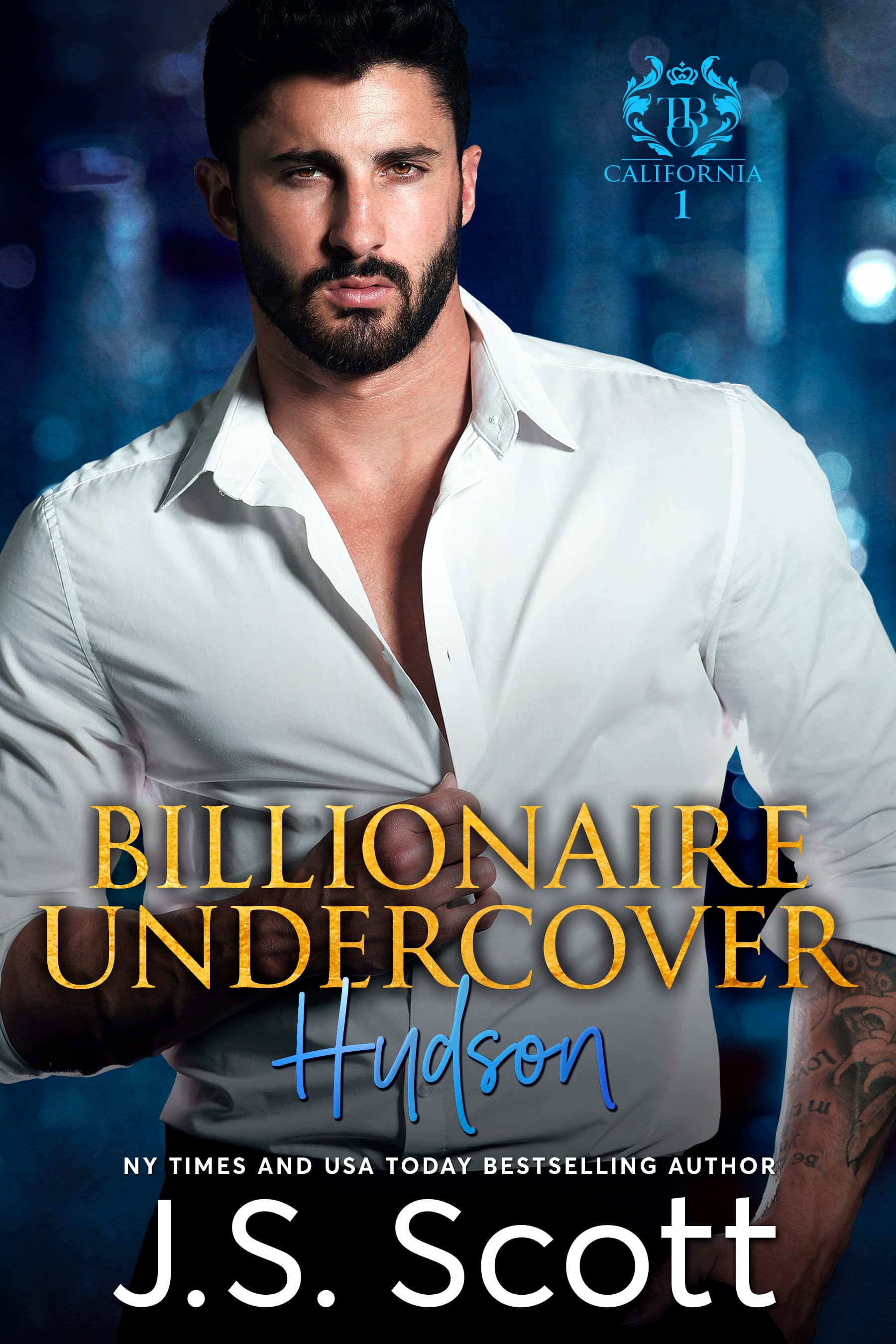 Milliardenschwer und undercover ~ Hudson: Ein Milliardär voller Leidenschaft, Buch 15