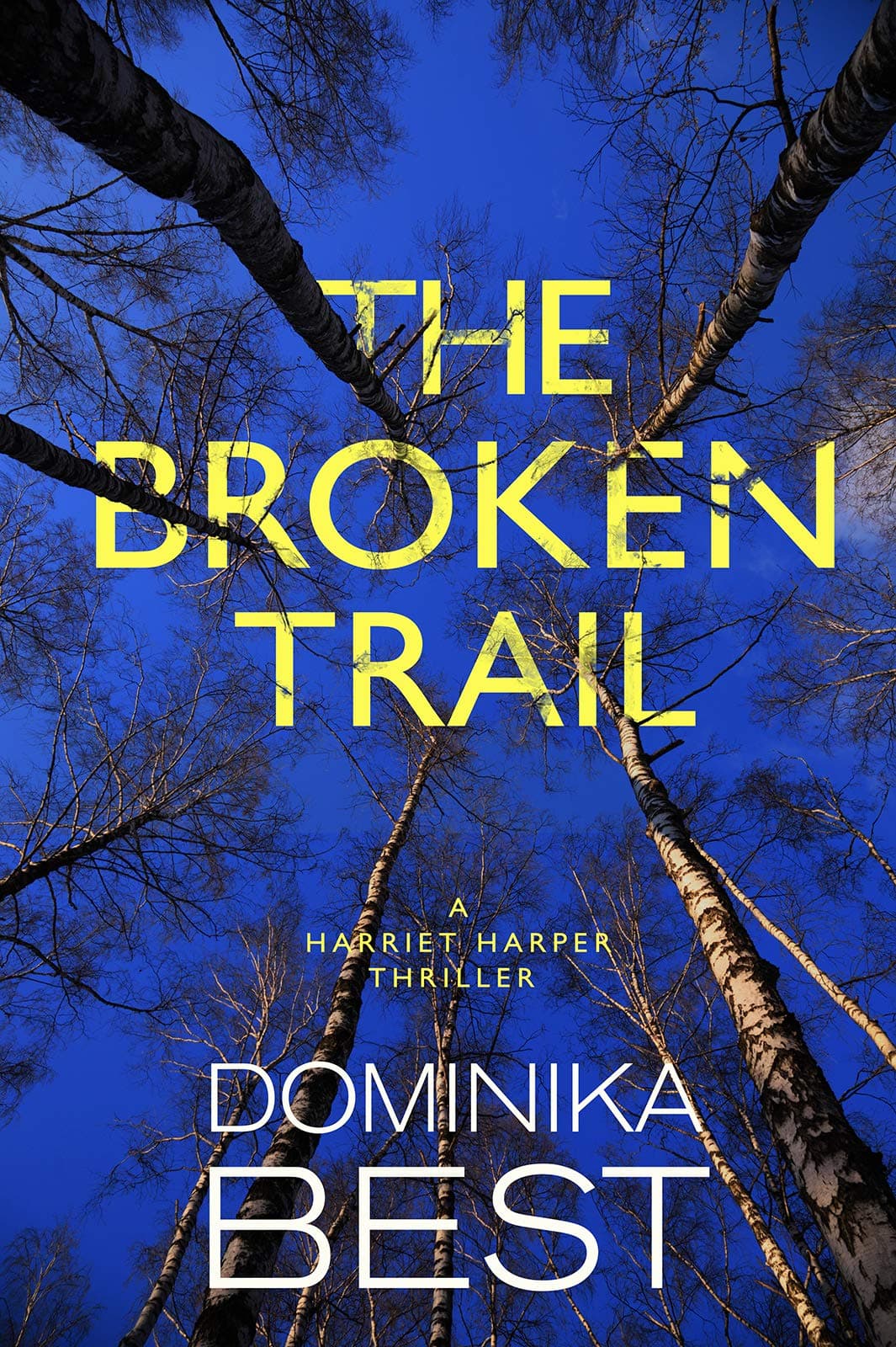 The Broken Trail
