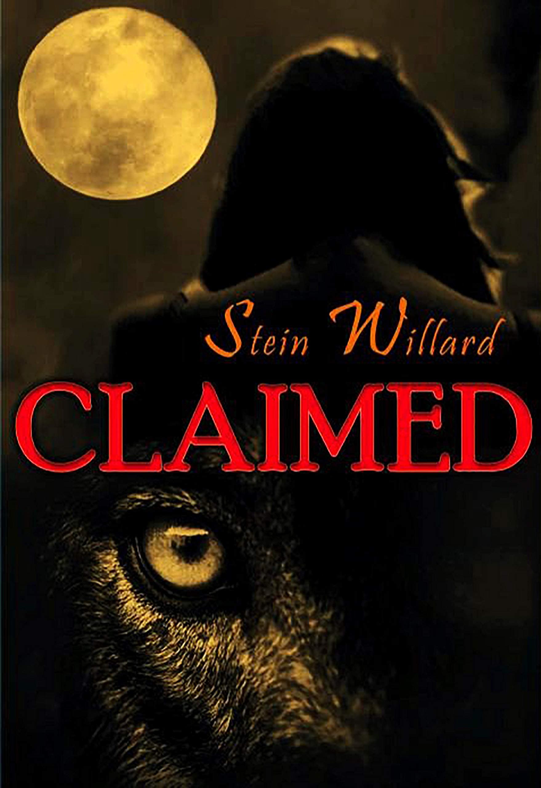 Stein Willard