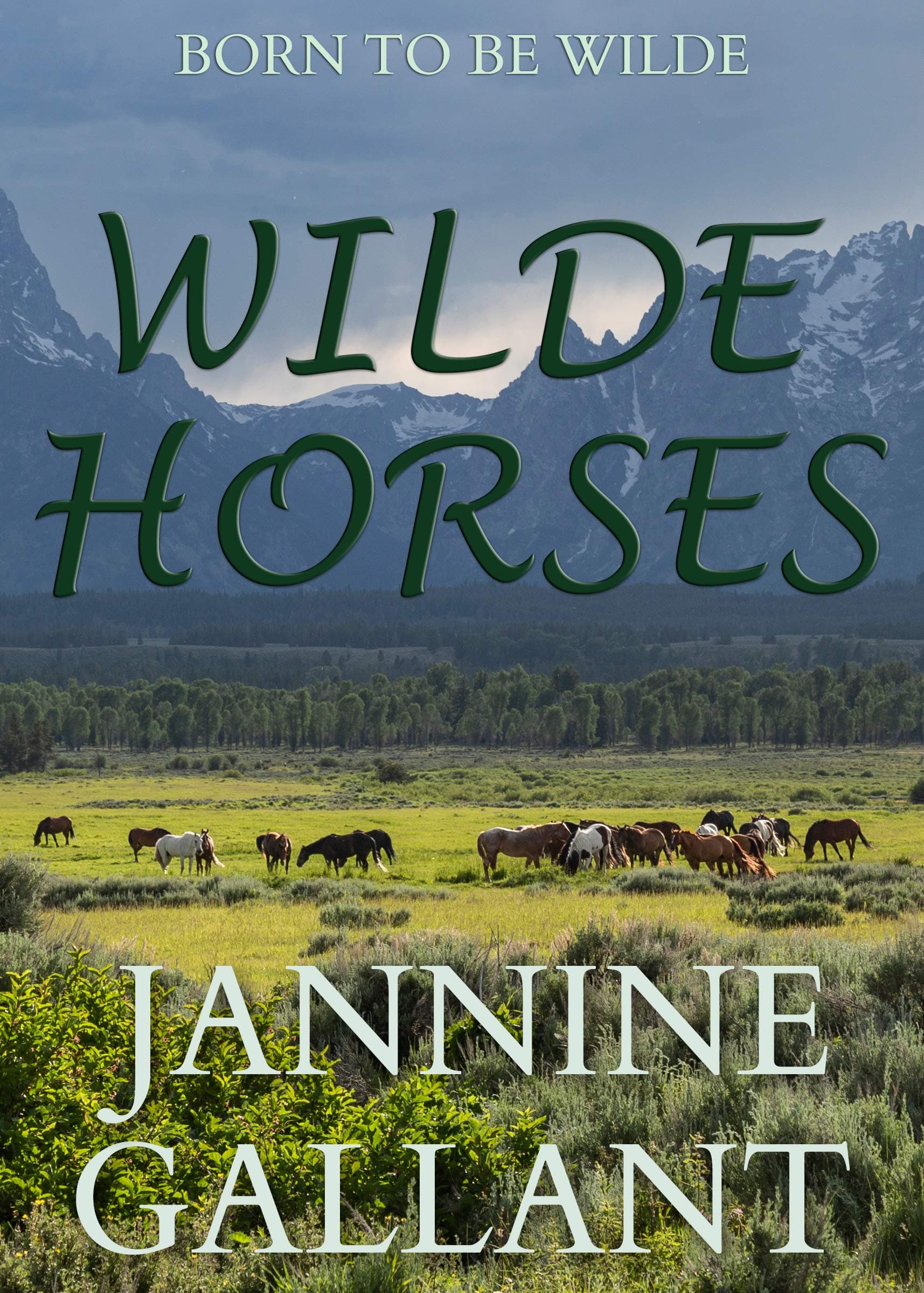 Wilde Horses