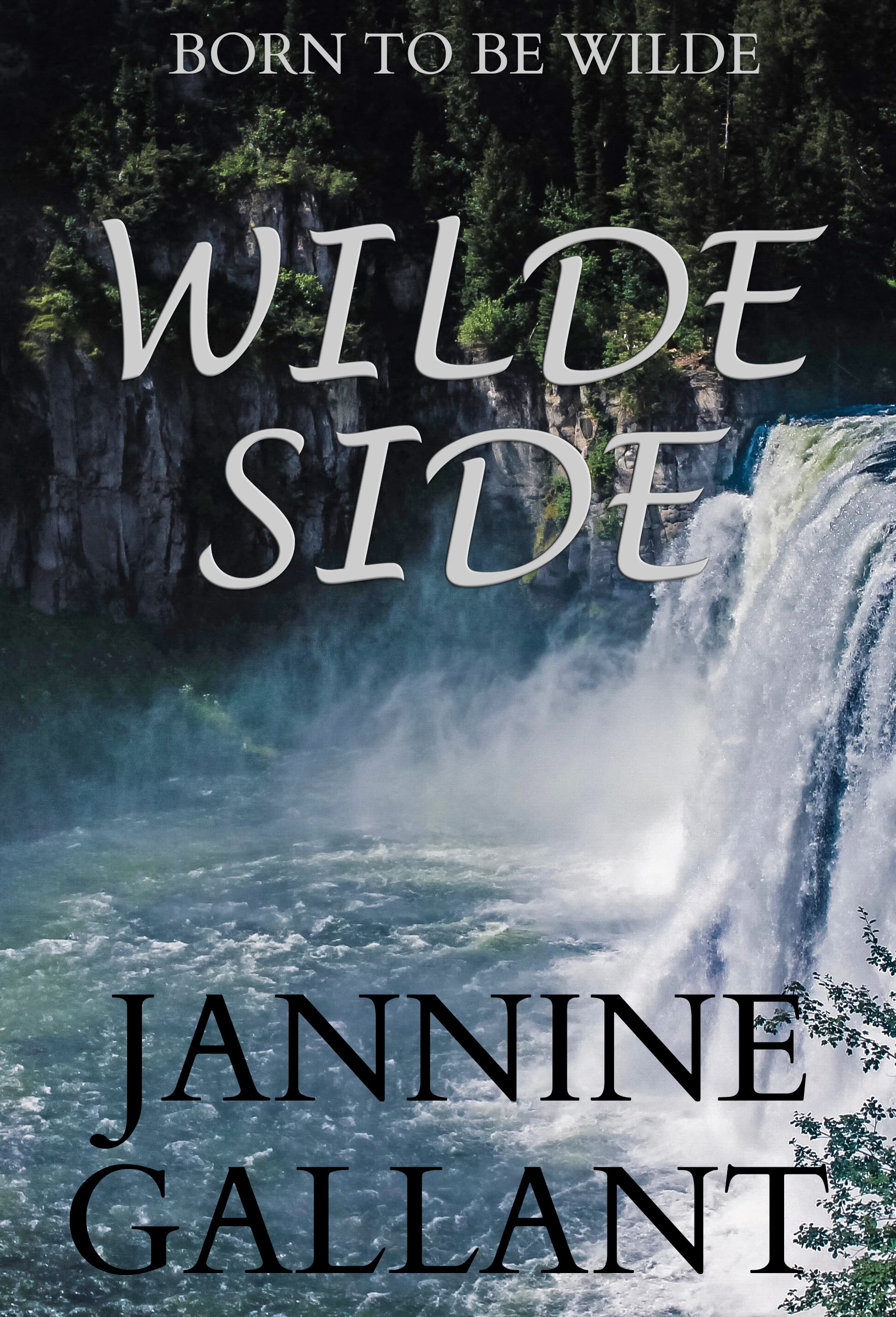 Wilde Side