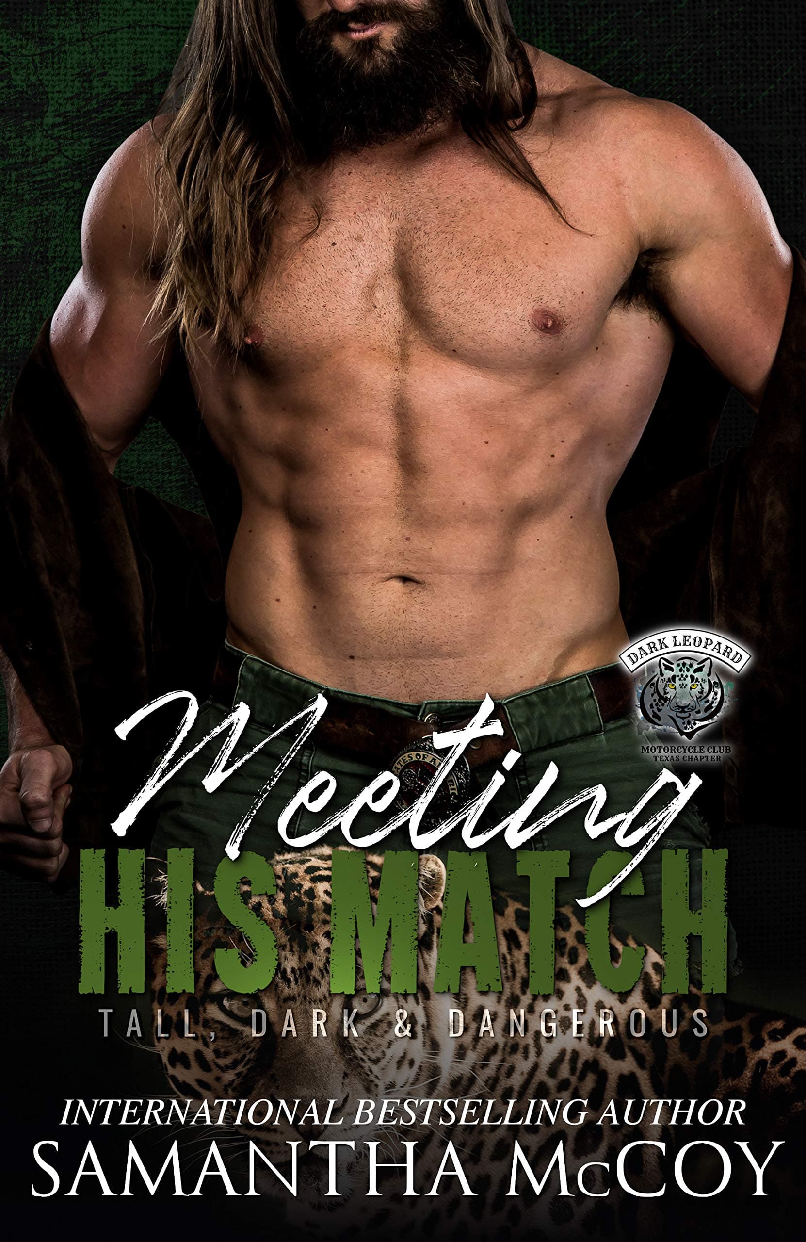 Meeting His Match: A Dark Leopards MC Book