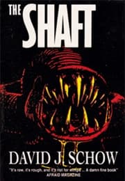 The Shaft