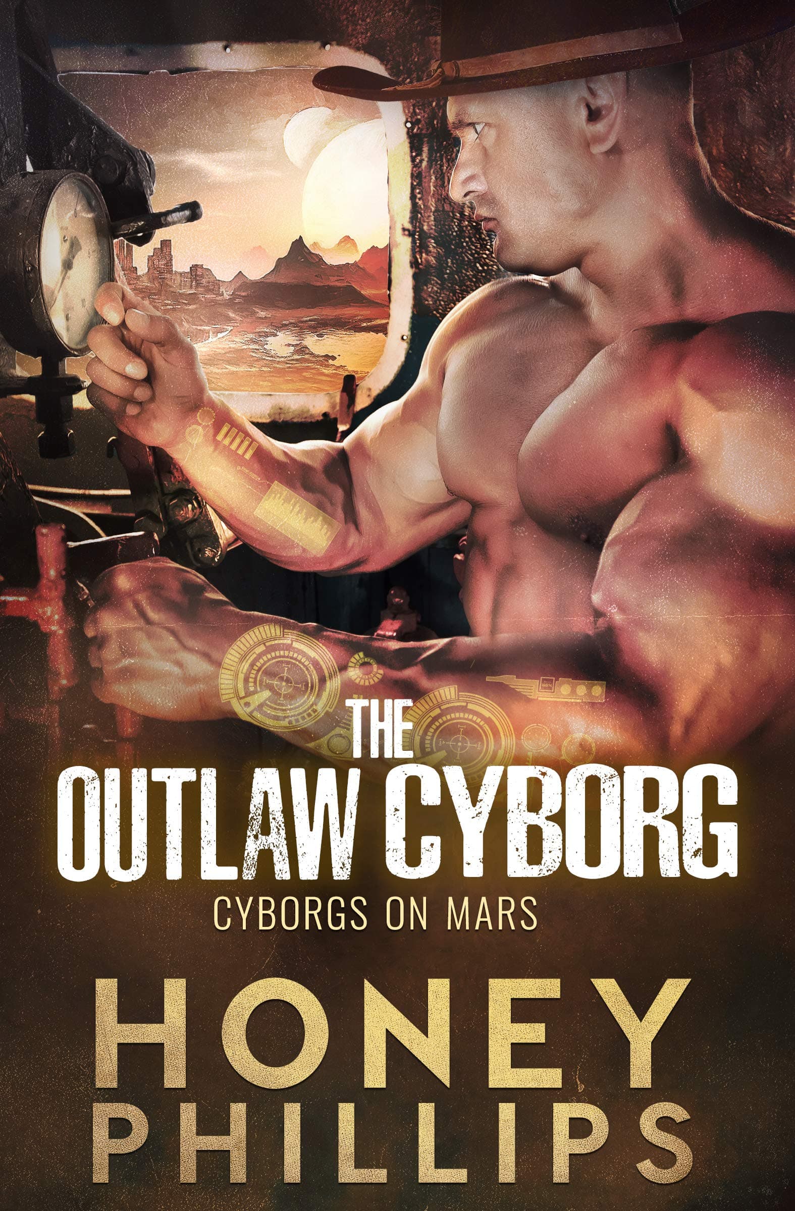 The Outlaw Cyborg