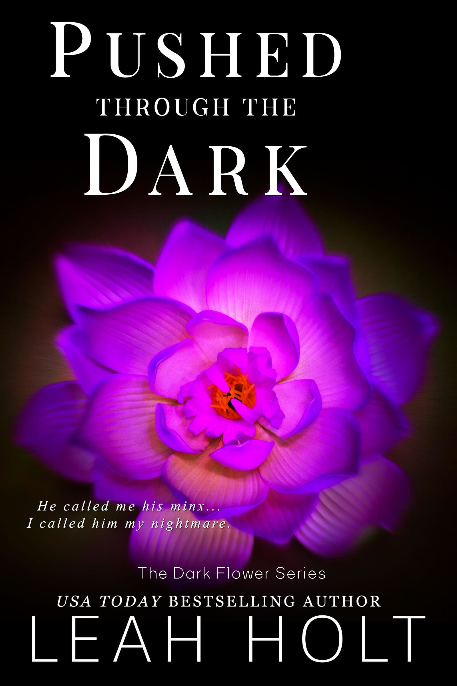 Pushed Through The Dark