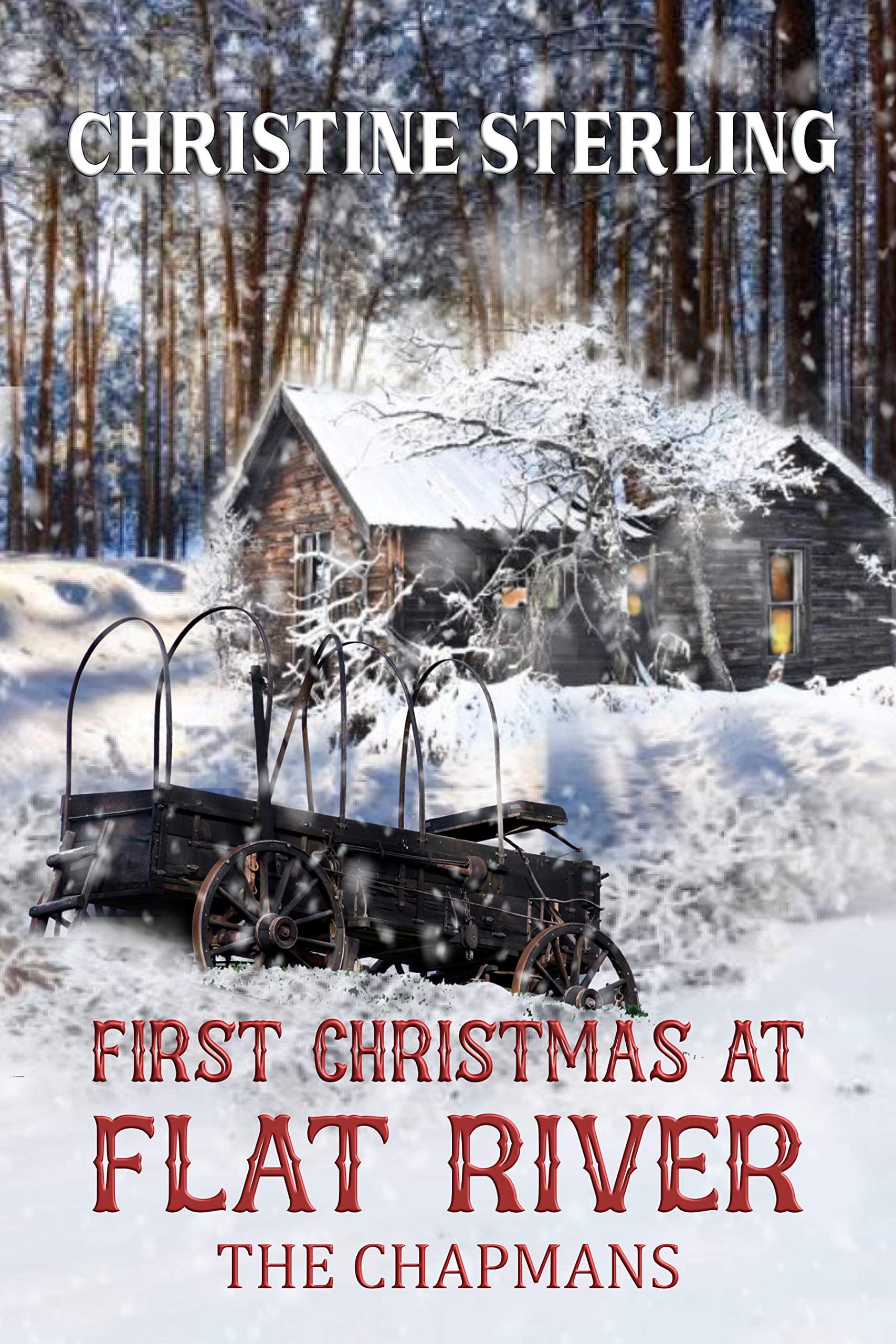 First Christmas at Flat River