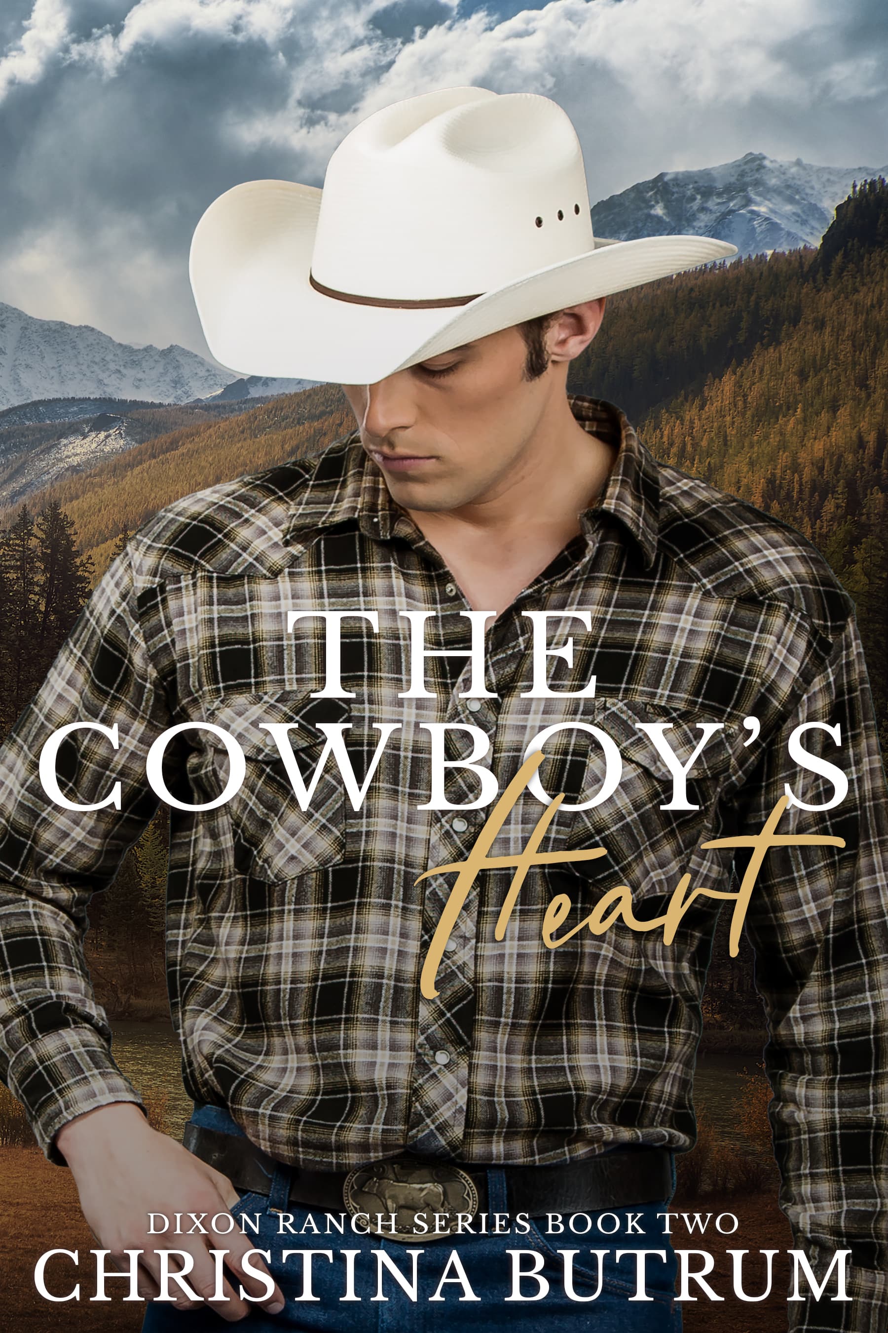 The Cowboy's Heart