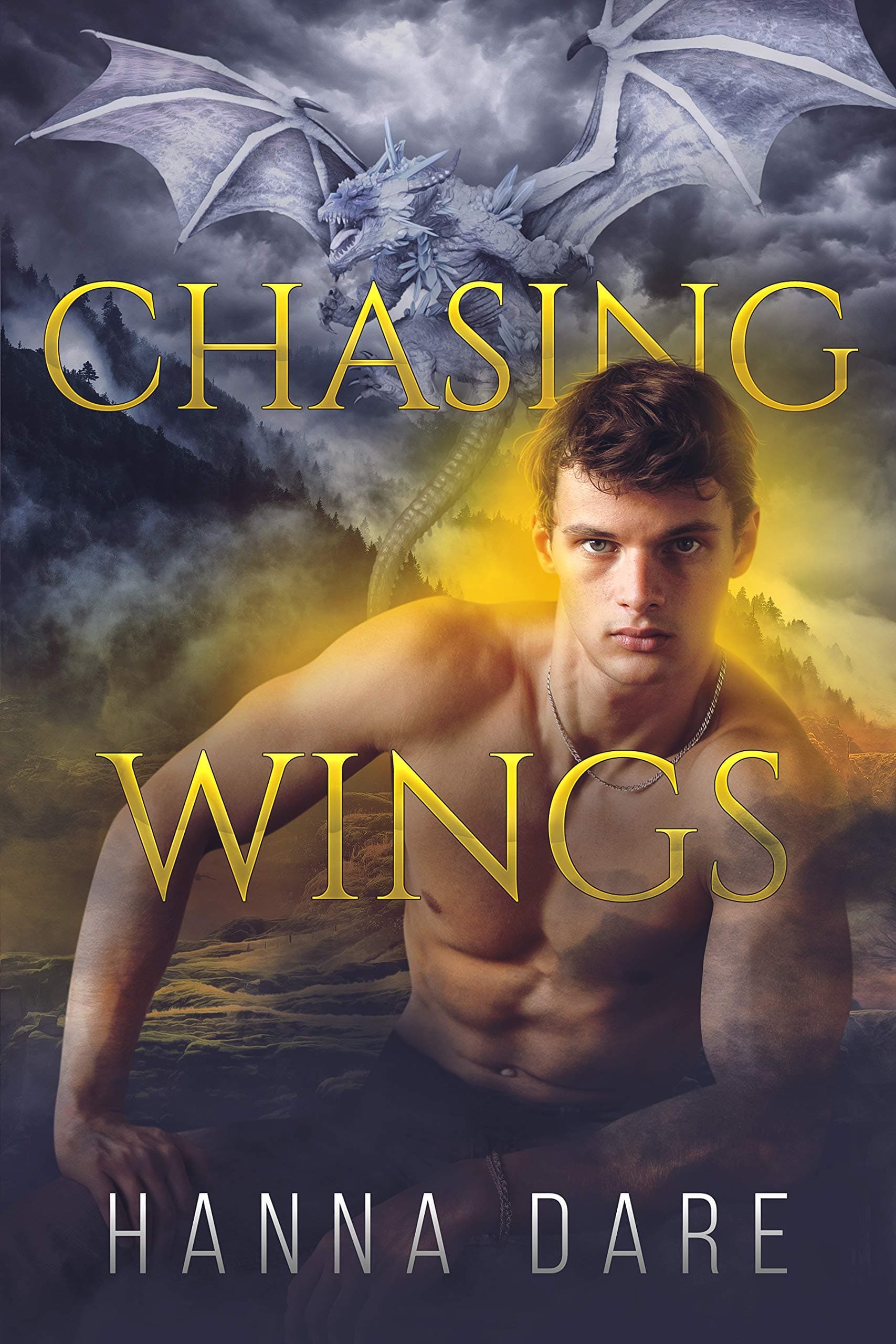 Chasing Wings