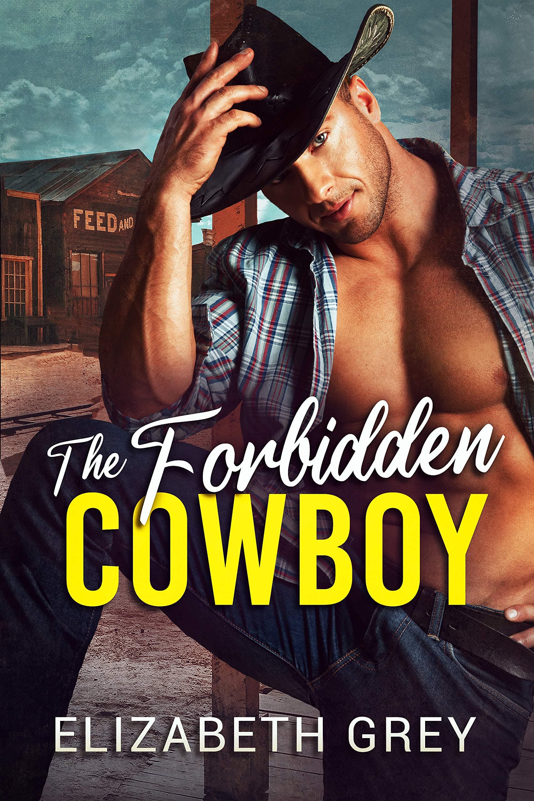The Forbidden Cowboy