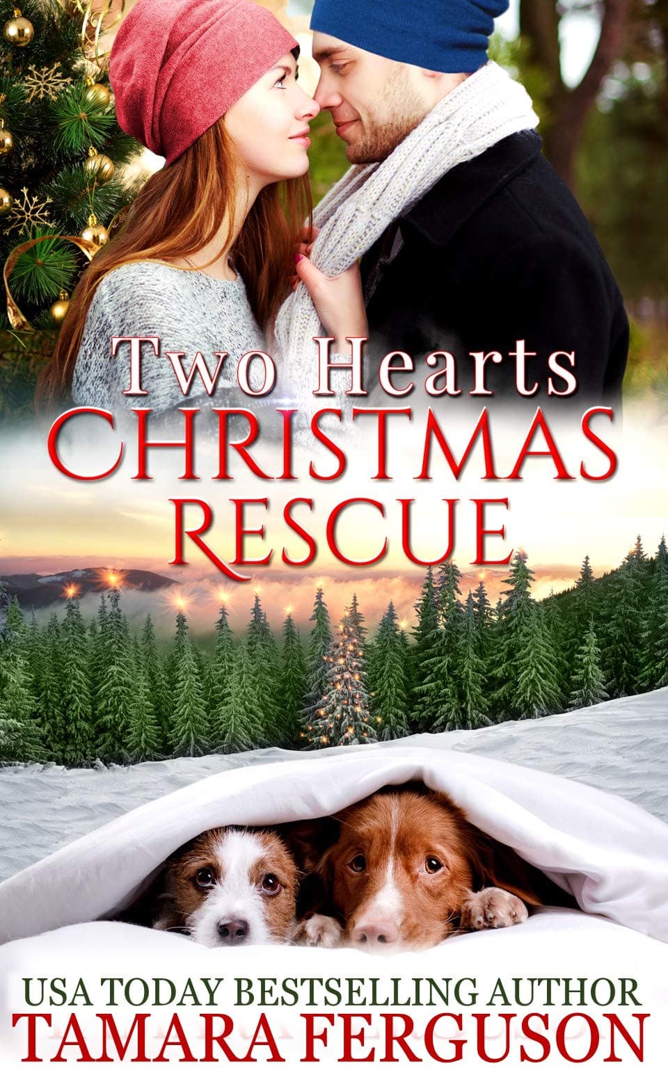 Two Hearts’ Christmas Rescue