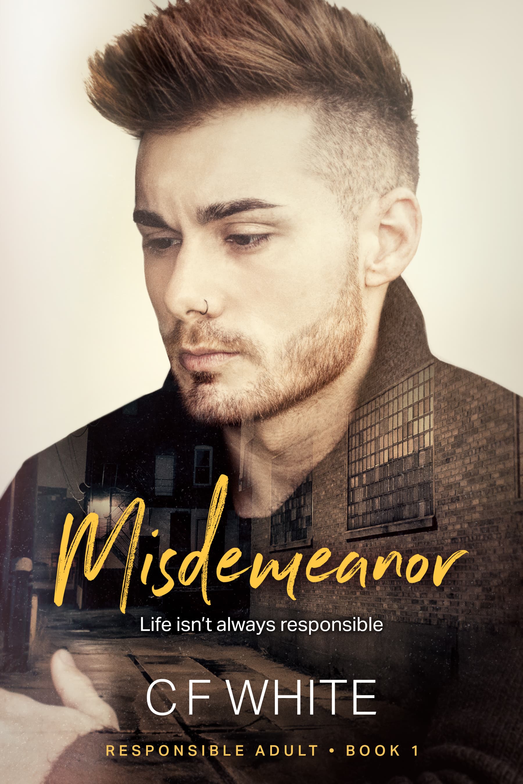 Misdemeanor