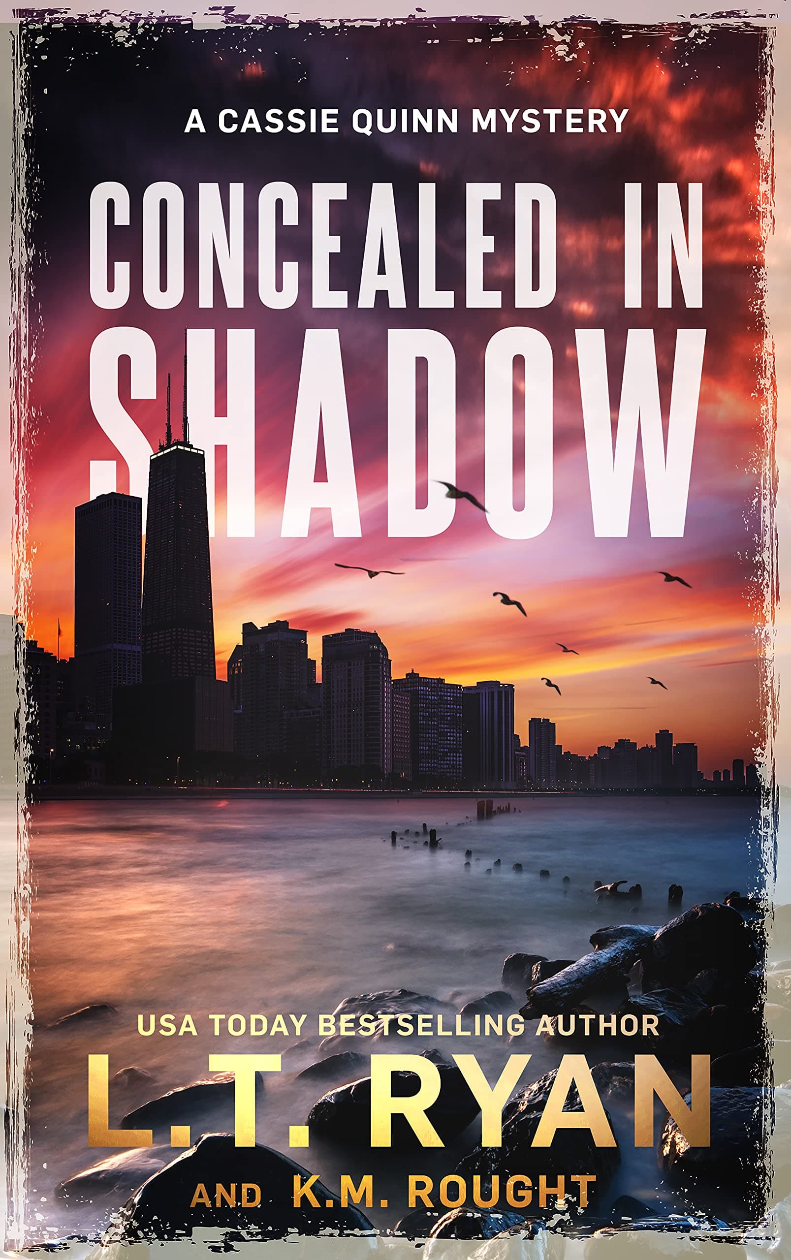 Concealed in Shadow