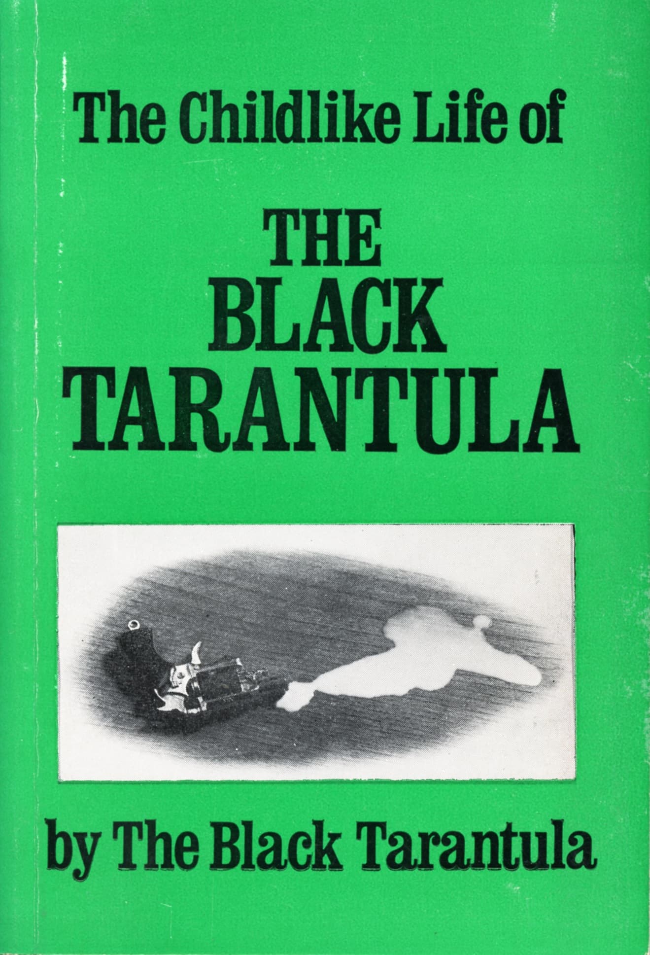 Childlike Life of the Black Tarantula