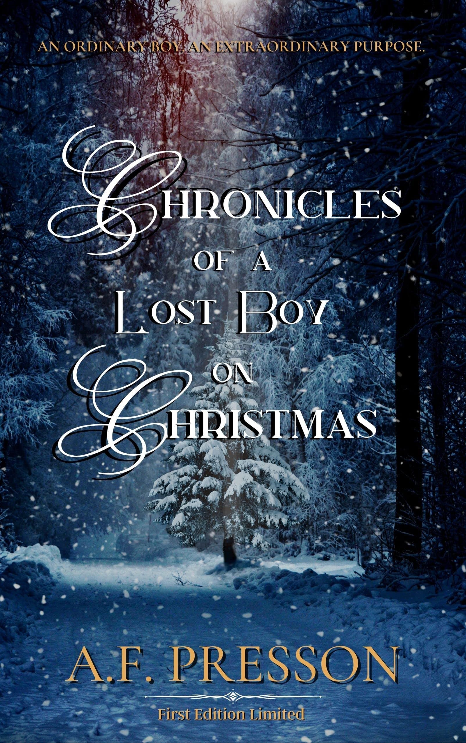 Chronicles of a Lost Boy on Christmas