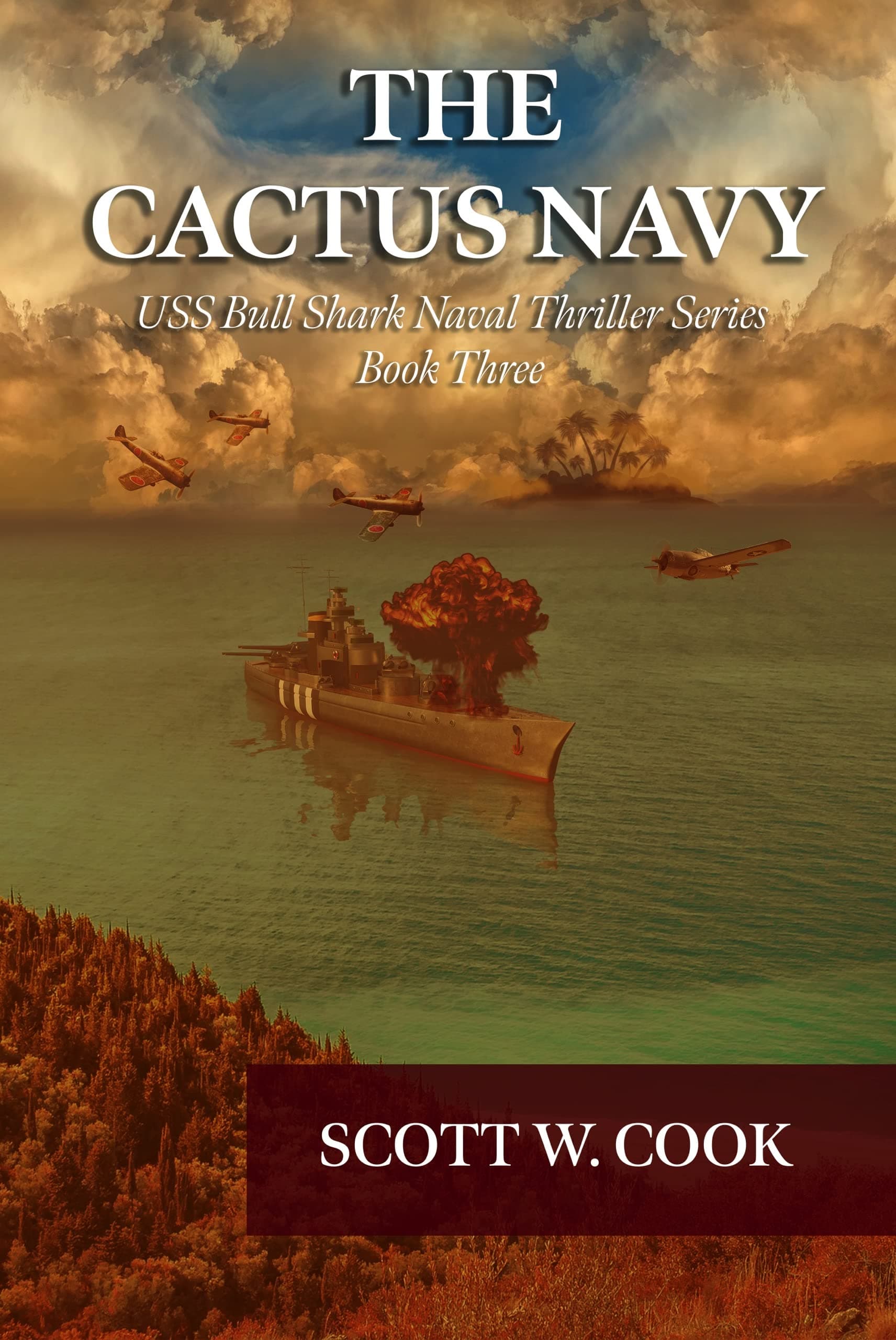 The Cactus Navy