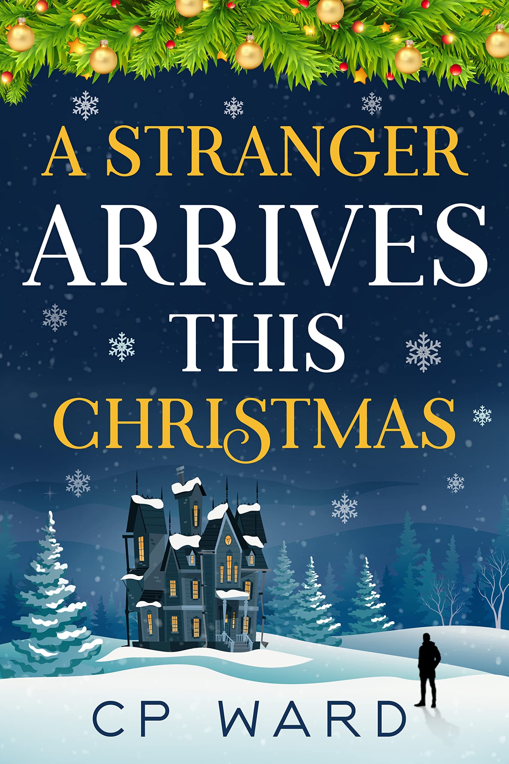 A Stranger Arrives This Christmas (Delightful Christmas Book 7)