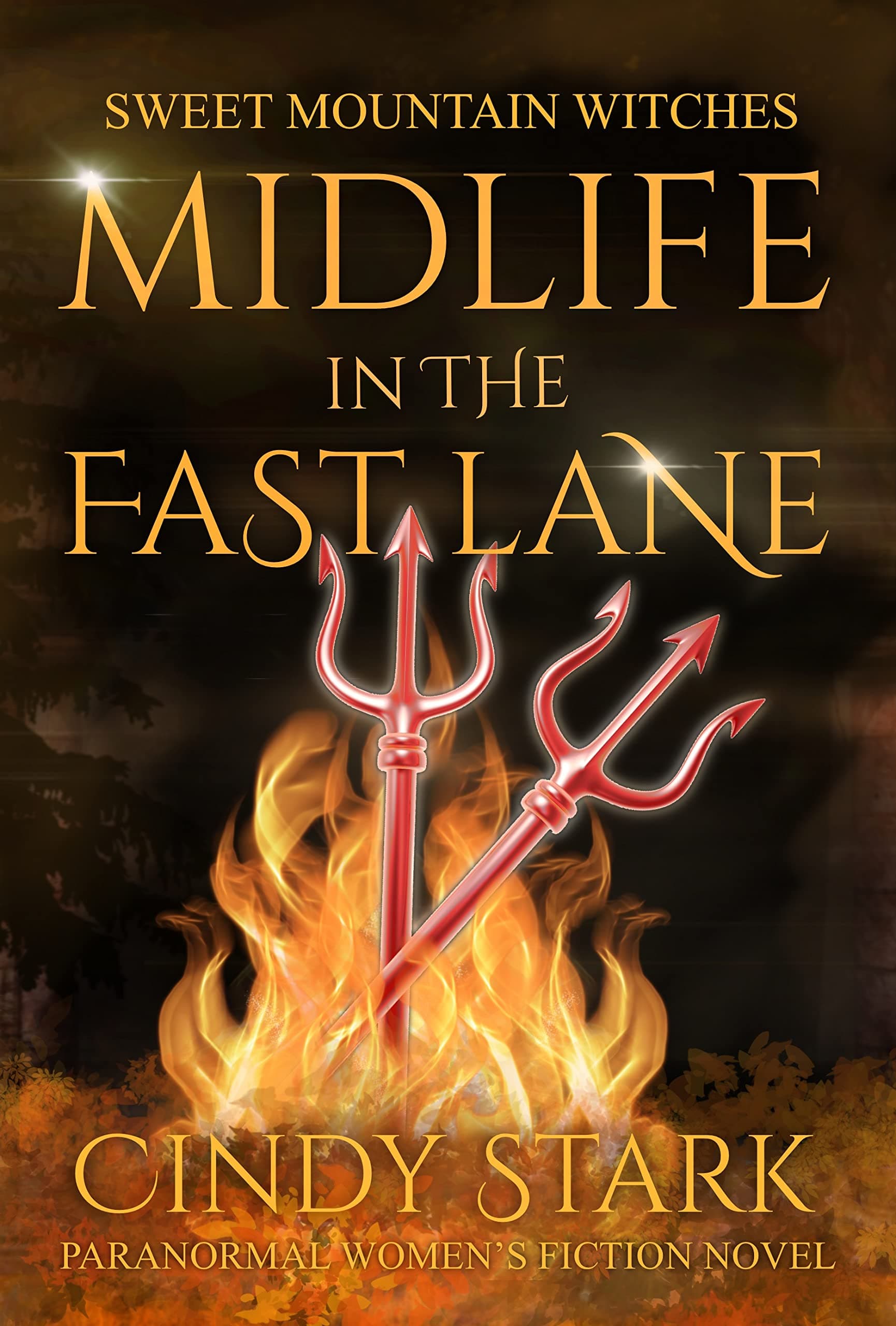 Midlife in the Fast Lane
