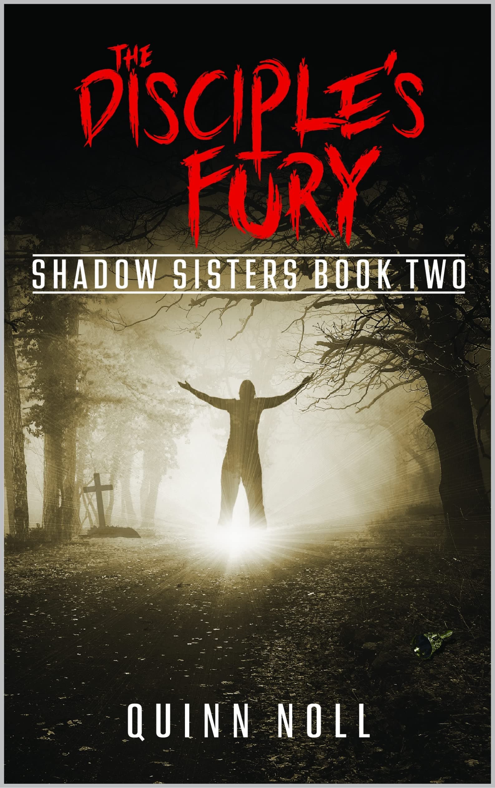 The Disciple's Fury