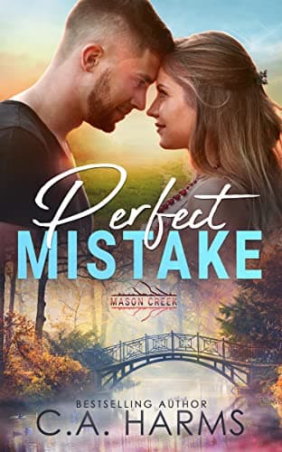 Perfect Mistake