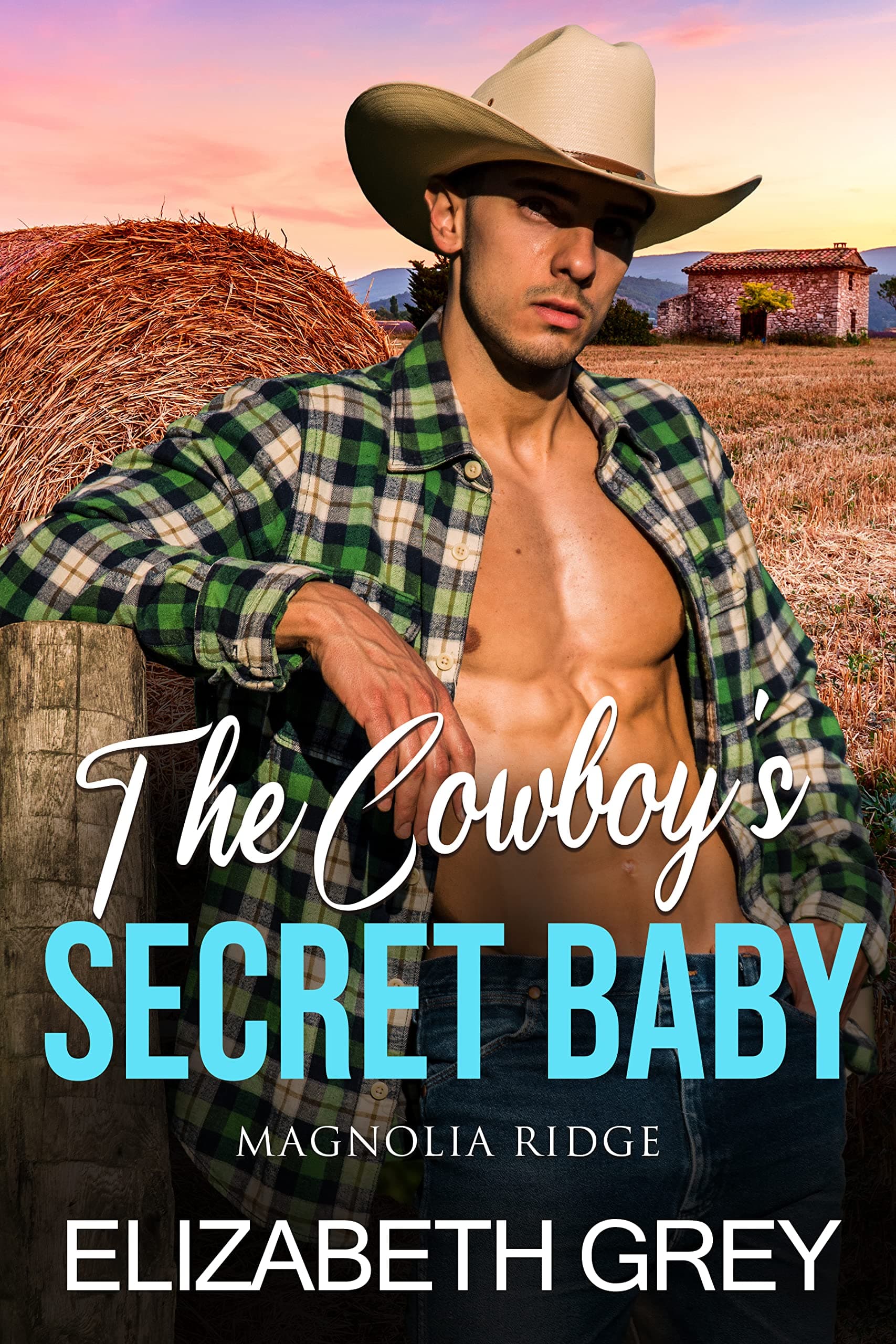The Cowboy's Secret Baby