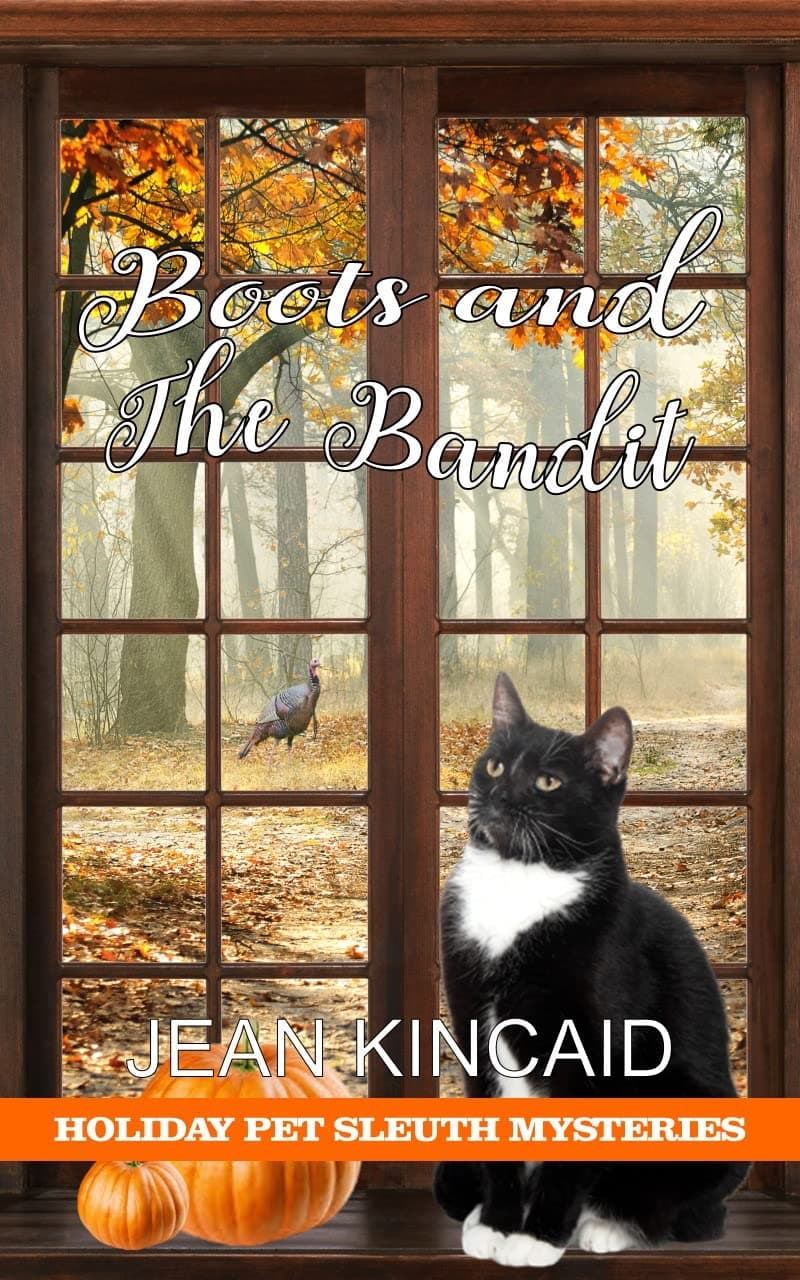 Boots and the Bandit