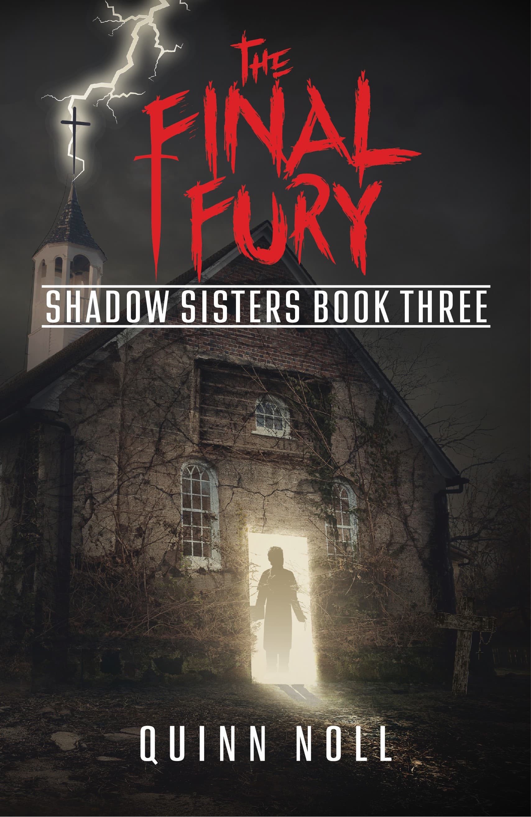 The Final Fury: Shadow Sisters Book Three