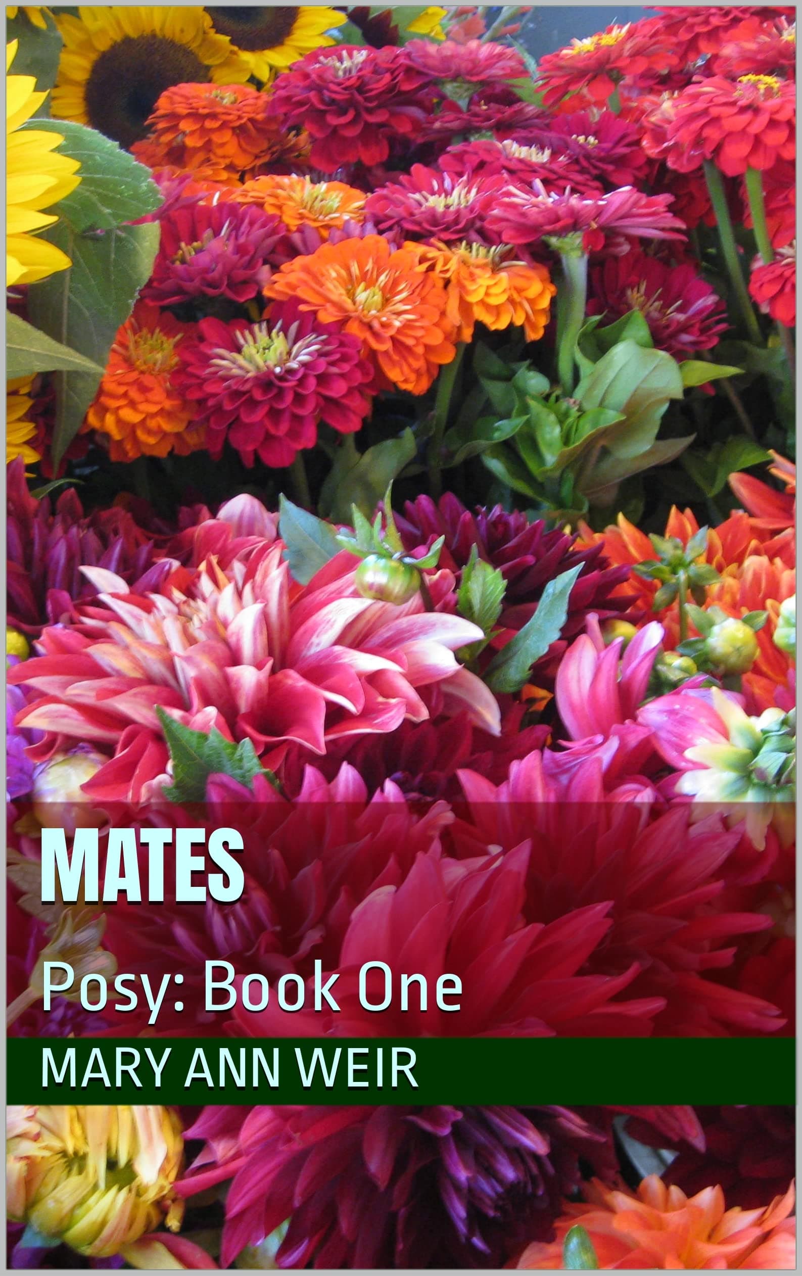 Mates: Posy: Book One