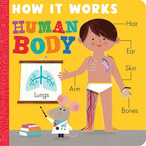 How It Works Human Body