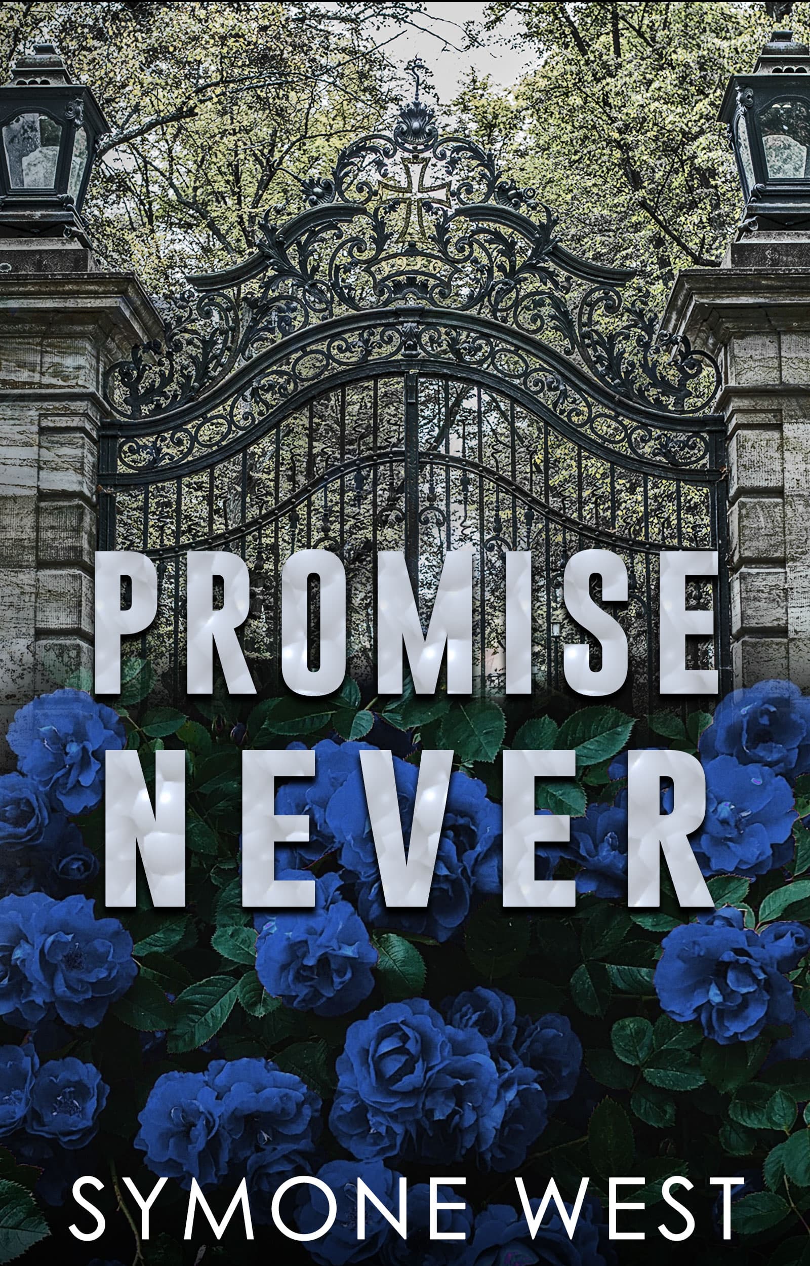 Promise Never