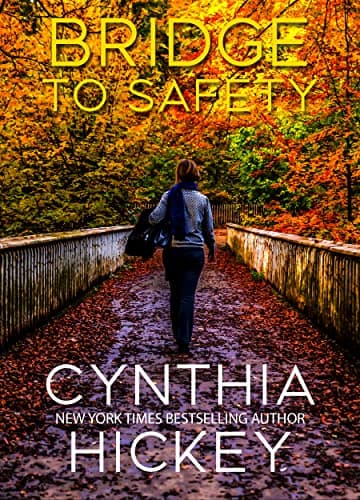 Bridge to Safety