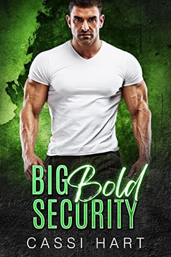 Big Bold Security