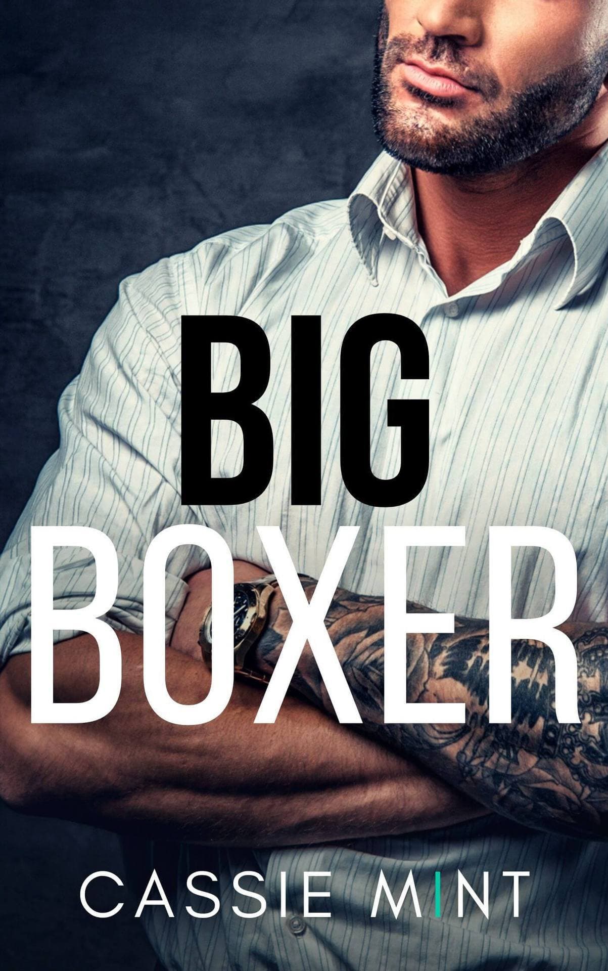 Big Boxer