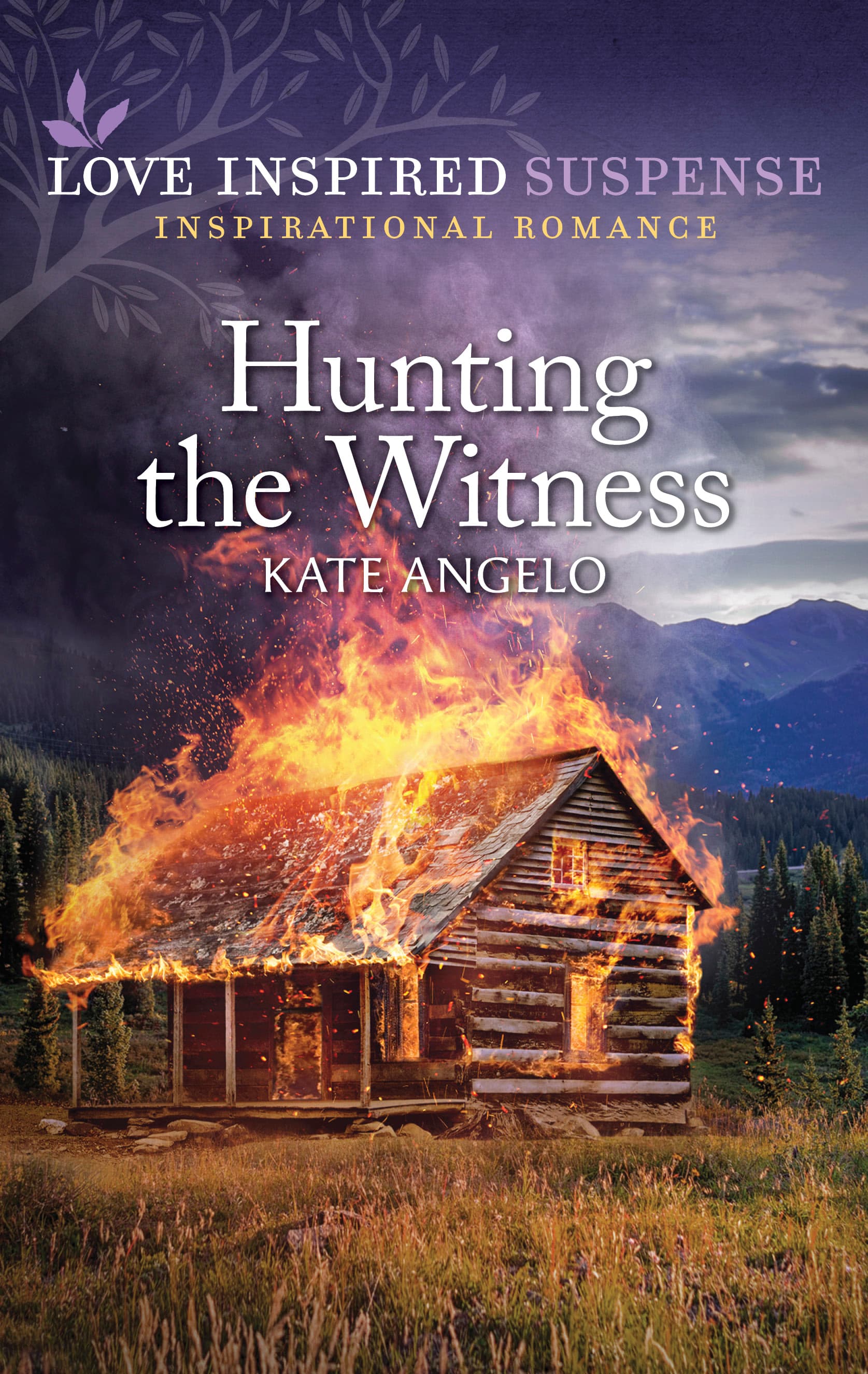 Hunting the Witness: An Amnesia FBI Christian Inspirational Suspense Romance