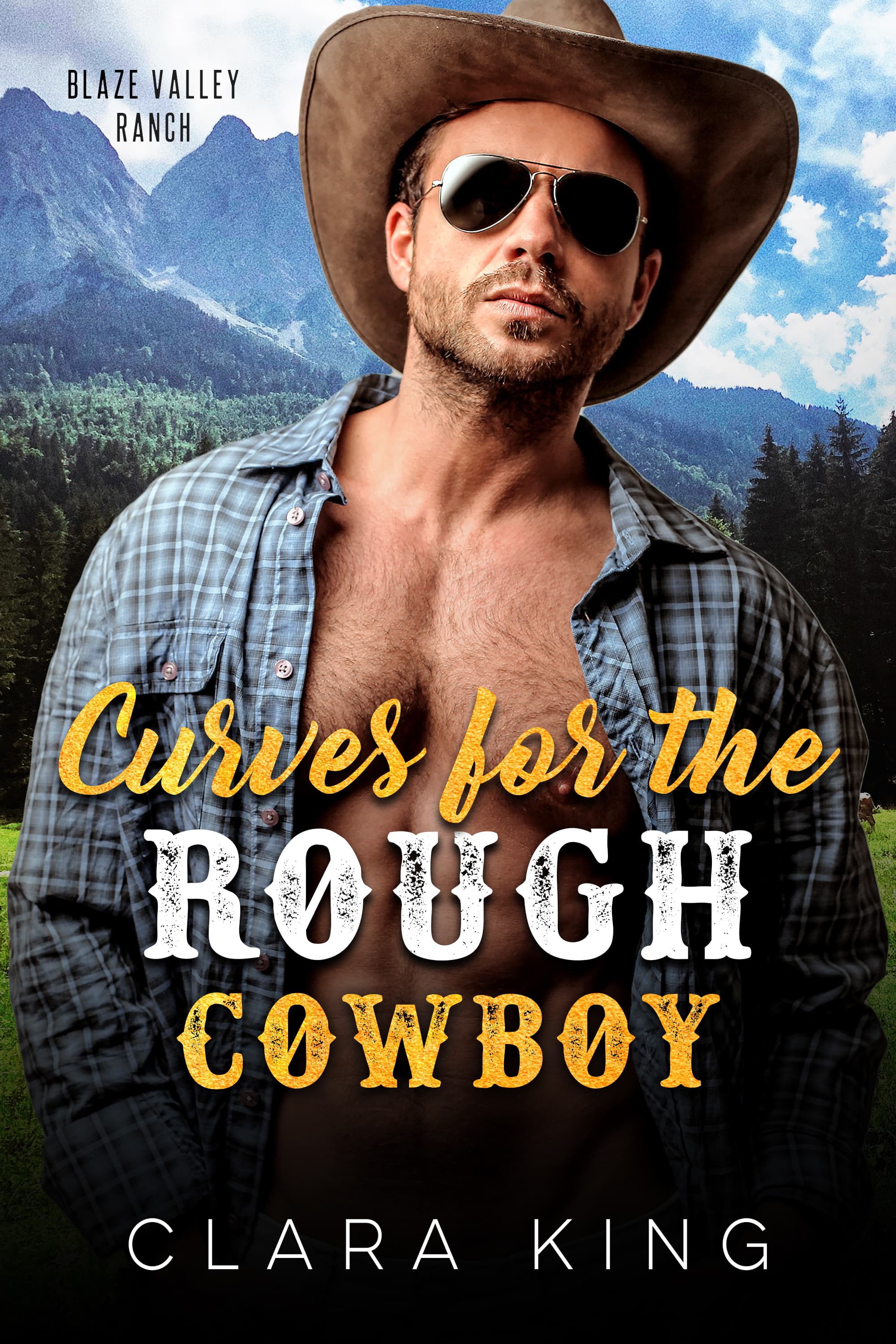 Curves for the Rough Cowboy
