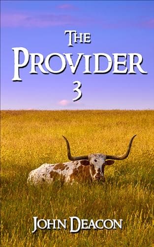 The Provider 3
