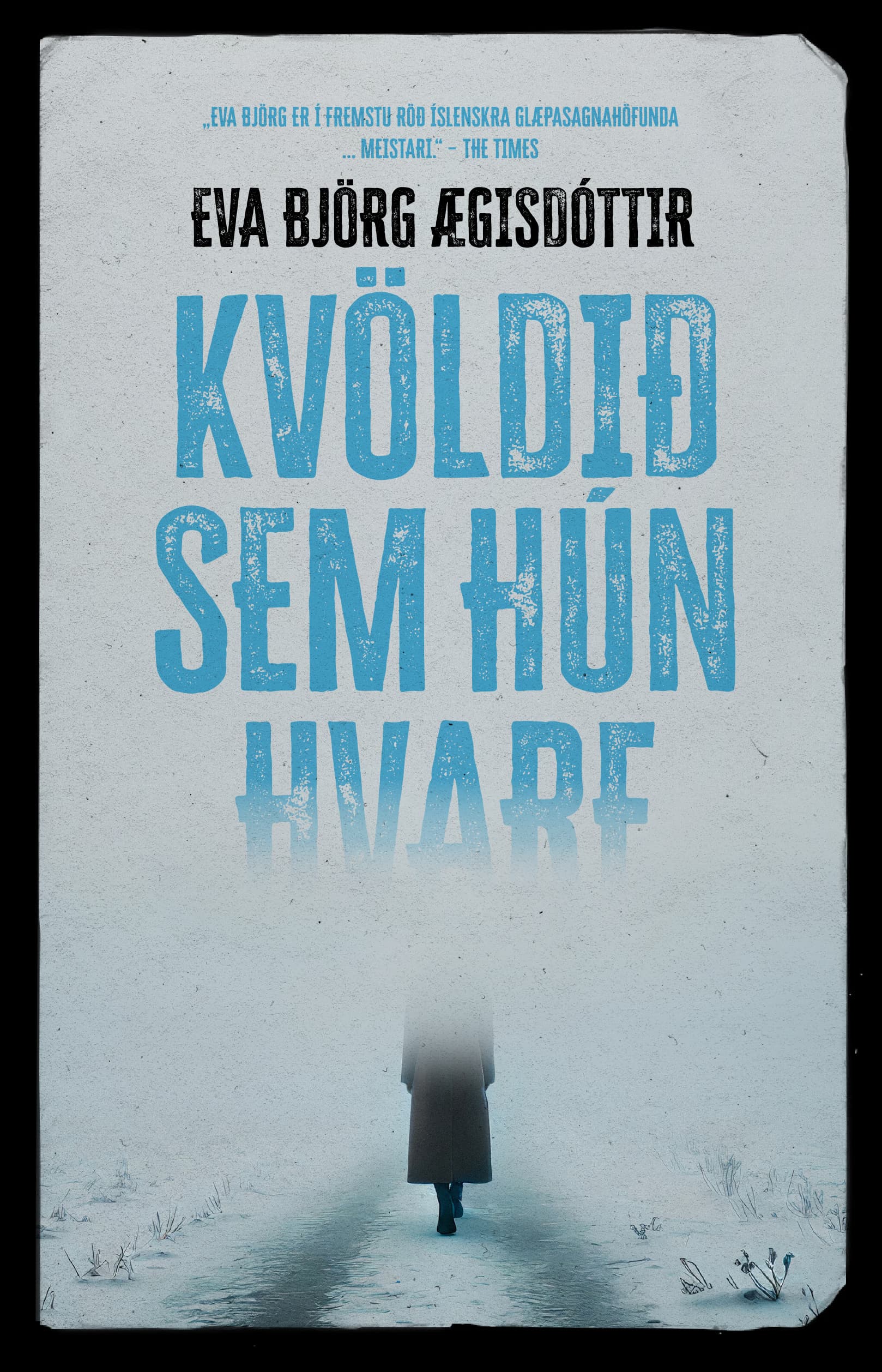 Kvöldið sem hún hvarf