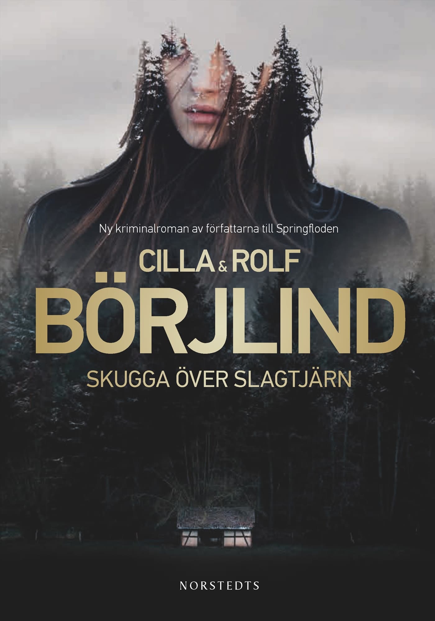 Schatten über dem Wald: Kriminalroman (Die Rönning/Stilton-Serie 9)