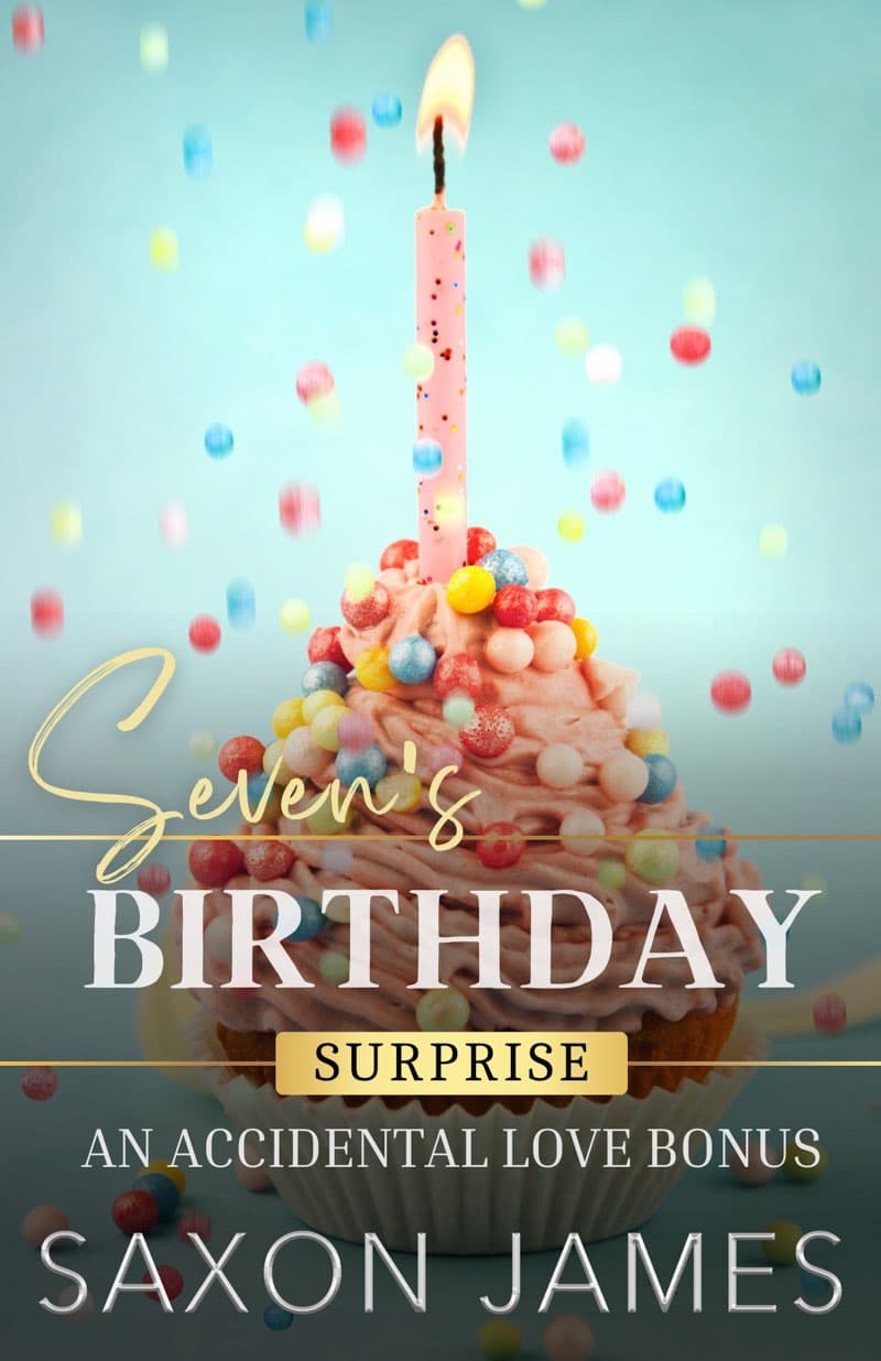 Seven's Birthday Surprise (Accidental Love #2.5)